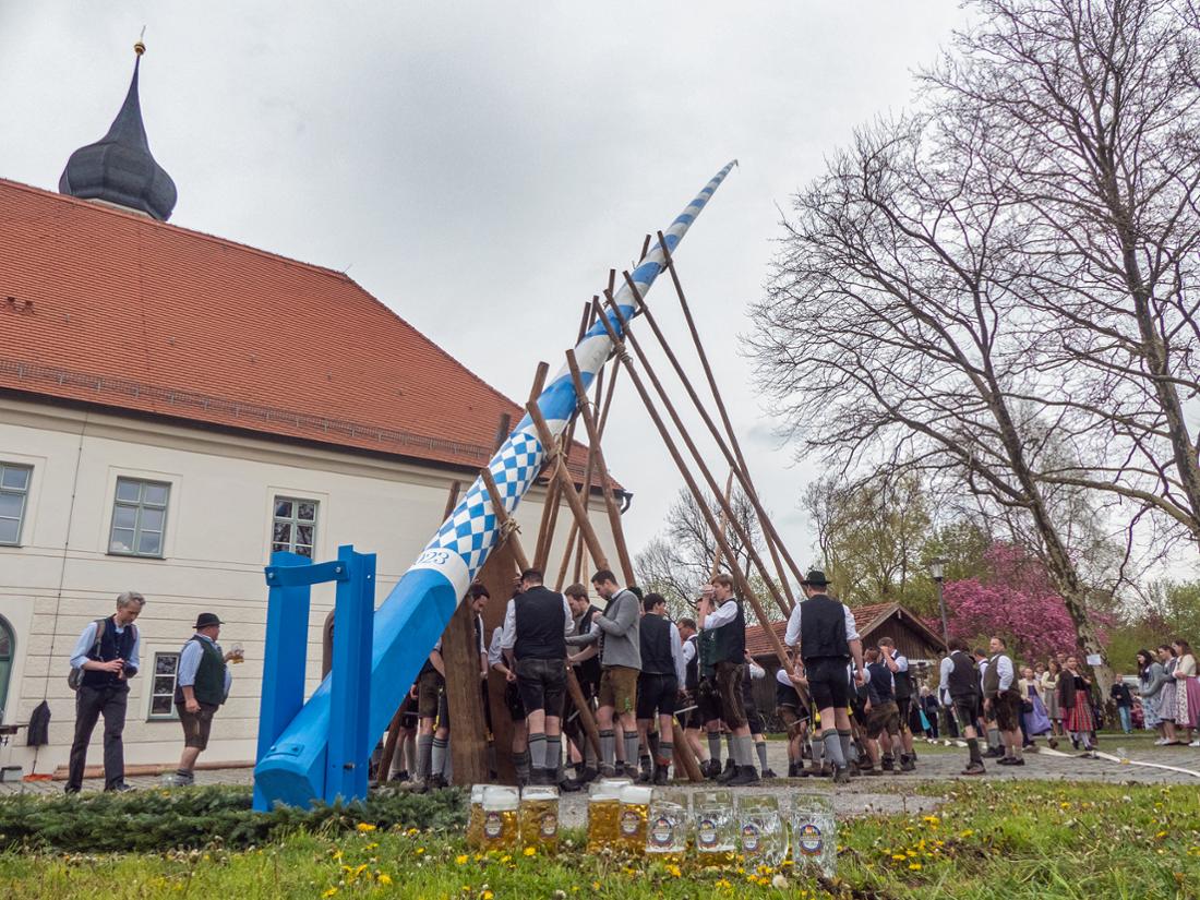 Maibaum5